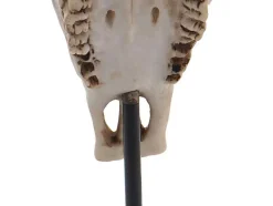 Vente-unique Standbeeld-Decoratief Staand Figuur Koeienschedel Mcw-D30