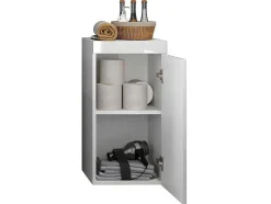 Trendteam Muurkast Badkamer-Devon Badkamerkast 1 Deur Wit, Wit Hoogglans.