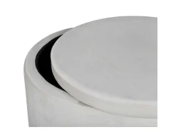 Venture Home Poef-Dunken Poef, Hocker Met Opbergruimte O51Cm Velours Beige.