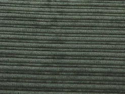 Vente-unique Uitklapbare Fauteuil-Eenpersoons Slaapbank Van Fluweel Ribstof Palula - Donkergroen