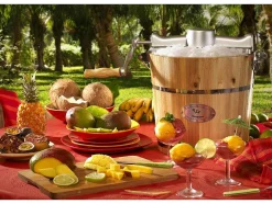 Vente-unique Klein Huishoudelijk Apparaat-Elektrische Sorbetmaker Givreto Van Hout 5.5L