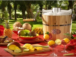 Vente-unique Klein Huishoudelijk Apparaat-Elektrische Sorbetmaker Givreto Van Hout 3.5L