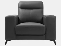 Vente-unique Fauteuil Leer-Fauteuil Van Leer Montaner - Zwart