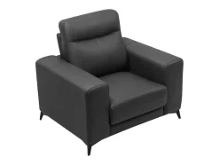Vente-unique Fauteuil Leer-Fauteuil Van Leer Montaner - Zwart