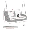 ModernLuxe Hangstoel-Hangstoel In Geweven Hars - Tuinschommel - 2 Plaatsen - Met Kussens - Beige