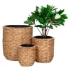 Vente-unique Decoratieobject Voor Binnen-Hanoi Planten Schuilplaatsen Set Van 3 Stuks. Buitenshuis Naturel.