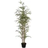 OZAIA Kunstplant-Kunstbamboe Met Natuurlijke Stam - H160 - Mucuri