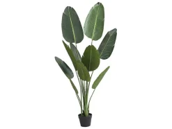 OZAIA Kunstplant-Kunstbananenplant Met Pot - H160 - Nendaz