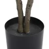 OZAIA Kunstplant-Kunstboom Calathea Met Pot - H150 - Lusake