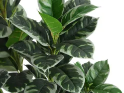 OZAIA Kunstplant-Kunstboom Calathea Met Pot - H150 - Lusake