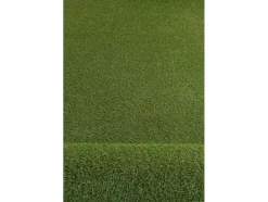 RugsX Kunstgras-Kunstgras Havana Select Maat 100X450 Cm