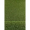 RugsX Kunstgras-Kunstgras Havana Select Maat 200X900 Cm