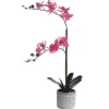 OZAIA Kunstplant-Kunstorchidee Met Pot Van Cement - H55 X B30 Cm - Roze - Riosane