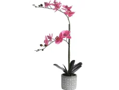 OZAIA Kunstplant-Kunstorchidee Met Pot Van Cement - H55 X B30 Cm - Roze - Riosane