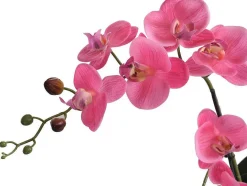 OZAIA Kunstplant-Kunstorchidee Met Pot Van Cement - H55 X B30 Cm - Roze - Riosane