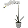 OZAIA Kunstplant-Kunstorchidee Met Pot Van Cement - H60 - Wit - Flora