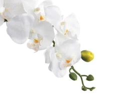OZAIA Kunstplant-Kunstorchidee Met Pot Van Cement - H60 - Wit - Flora