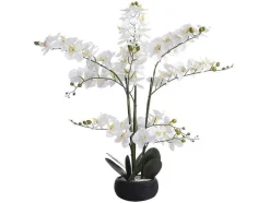 OZAIA Kunstplant-Kunstorchidee Met Pot Van Cement - H65 X B54 Cm - Wit - Tara
