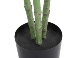 OZAIA Kunstplant-Kunstplant Taro Met Pot - H160 - Groen - Baja