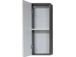 Trendteam Muurkast Badkamer-Linebad Badkamerkast 1 Deur Gerookt Zilver, Wit Hoogglans.