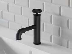 Shower & Design Kraan-Mechanische Mengkraan - H19,6 Cm - Matzwart - Kapuas