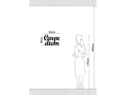 EPIKASA Decoratieve Wandplaat-Metalen Decoratie Carpediem, Zwart, 50X1,5X38 Cm,