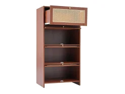 ModernLuxe Schoenenkast-Multifunctioneel Rotan Opbergmeubel - 1 Lade En 3 Vakken - Bruin