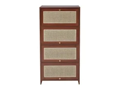 ModernLuxe Schoenenkast-Multifunctioneel Rotan Opbergmeubel - 1 Lade En 3 Vakken - Bruin