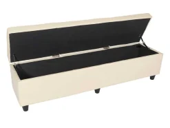Vente-unique Kleine Opberger En Slaapkameraccessoire-Opbergkist Arezzo Xxl, Creme