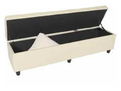 Vente-unique Kleine Opberger En Slaapkameraccessoire-Opbergkist Arezzo Xxl, Creme