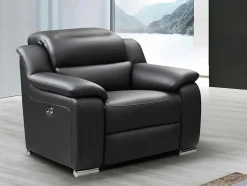 Vente-unique Relaxfauteuil-Relaxfauteuil Van Leer Arena Ii - Zwart - Elektrisch