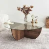 Vente-unique Salontafel-Salontafel Van Gehard Glas - Naturel En Transparant - Aysun