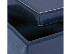 Vente-unique Opbergaccessoire-Sanne Opbergdozen Voetenbank Met Deksel, Zwart.