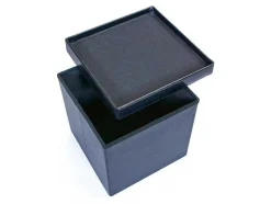 Vente-unique Opbergaccessoire-Sanne Opbergdozen Voetenbank Met Deksel, Zwart.