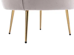 PASCAL MORABITO Fauteuil Stof Fluweel / Suedine-Schelpvormige Fauteuil Van Taupegrijs Velours Dandelion - Van