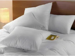 DODO Dekbed-Set Dekbed Natuurlijk 240 X 260 Cm + 2 Hoofdkussens Dons Baffin 65 X 65 Cm