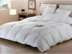 DODO Dekbed-Set Dekbed Natuurlijk 240 X 260 Cm + 2 Hoofdkussens Dons Baffin 65 X 65 Cm