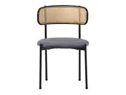 ModernLuxe Stoel-Set Van 2 Fluwelen En Rotan Stoelen - Metalen Poten - Grijs