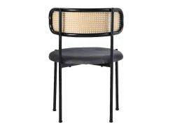 ModernLuxe Stoel-Set Van 2 Fluwelen En Rotan Stoelen - Metalen Poten - Grijs