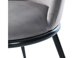 ModernLuxe Stoel-Set Van 2 Fluwelen Gestoffeerde Stoelen Met Rugleuning - Zwart Metalen Structuur - Grijs