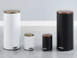 OZAIA Keukenaccessoire En -Opbergruimte-Set Van 2 Roestvrijstalen Pedaalemmers Pira - 30L En 3L - Zwart En Koper