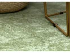 RugsX Tapijt Rond-Tapijt Rond Solid Groen 20 Beton Cercle 170 Cm