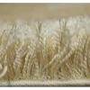 RugsX Tapijt Hoogpolig-Tapijt Shaggy Narin P901 Knoflook Goud 120X170 Cm