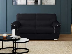 LINEA SOFA Tweezitsbank-Tweezitsbank Van Leer Thibault - Zwart